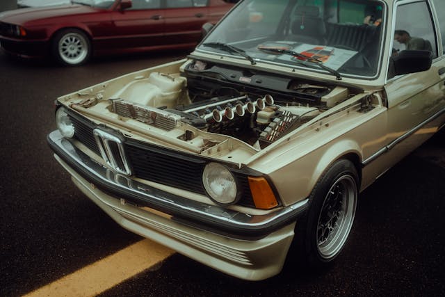 pexels-lvsnjpg-19905737